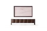 Astor Tv Unit