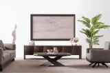Astor Tv Unit