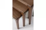 Bongo Nesting Table Walnut TB-548