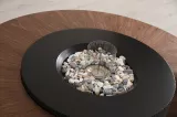 Calista Coffee Table Walnut TB-520