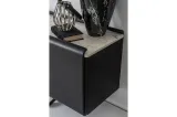 Capella Console