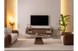 Electra Tv Unit