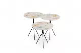 Flora Nesting Table TB-570