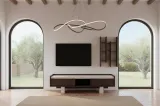 Fuji TV Unit