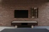 Fuji TV Unit