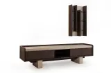 Fuji TV Unit