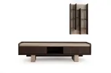 Fuji TV Unit