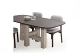 Fuji Dinner Table