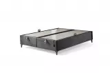 Genetics Bedbase