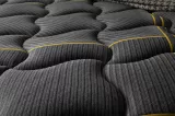 Genetics Mattress-Bedbase-Headboard Set