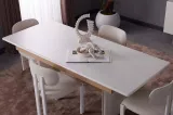 Lisa Dinner Table