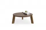 Lotus Coffee Table TB-451