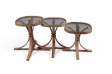 Mango 3 pcs Nesting Table Walnut - Walnut KD-2523-C