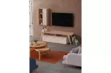 Mimosa Tv Unit