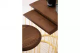 Nova Nesting Table Gold TB-399