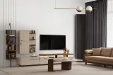 Omega Tv Unit