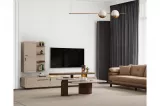 Omega Tv Unit