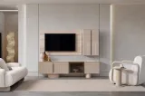 Rio Tv Unit