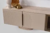 Rio Tv Unit