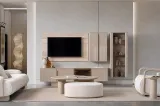 Rio Tv Unit