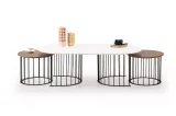 Ripa Coffee Table White Brass TB-333