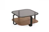 Royal Coffee Table Square American Walnut TB-538