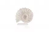 Snail Decor - BYR07