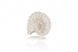 Snail Decor - BYR07