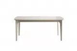 Trilye Dinner Table