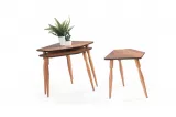 Zen Nesting Table TB-224